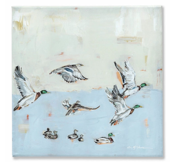 Taking Off Canvas Print by Chelsea McShane Art